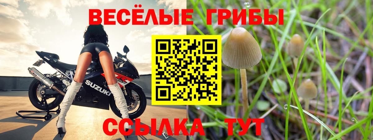 Псилоцибиновые грибы Magic Shrooms Норильск